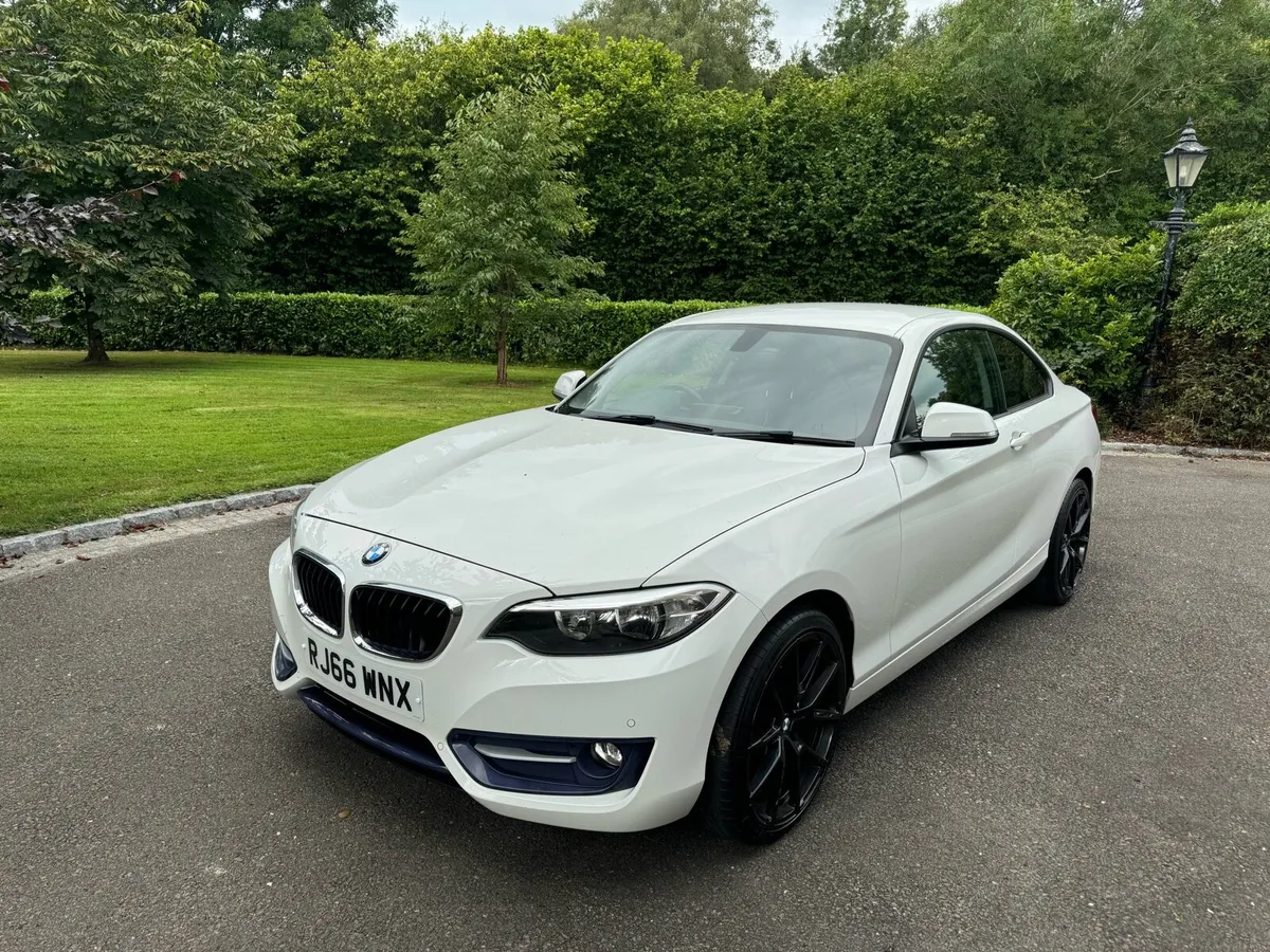2016 (Nov) BMW 2 Series 218d (150) Sport 2dr - Image 3