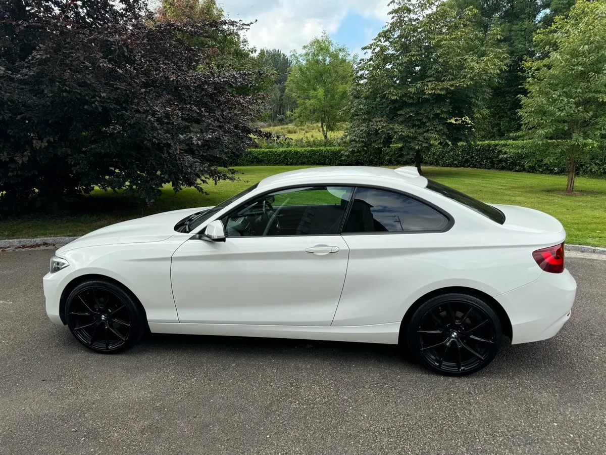 2016 (Nov) BMW 2 Series 218d (150) Sport 2dr - Image 4