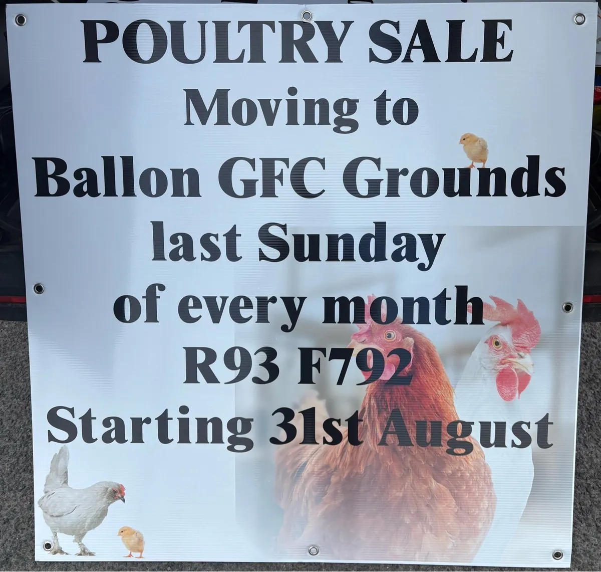 Poultry Bring and Buy