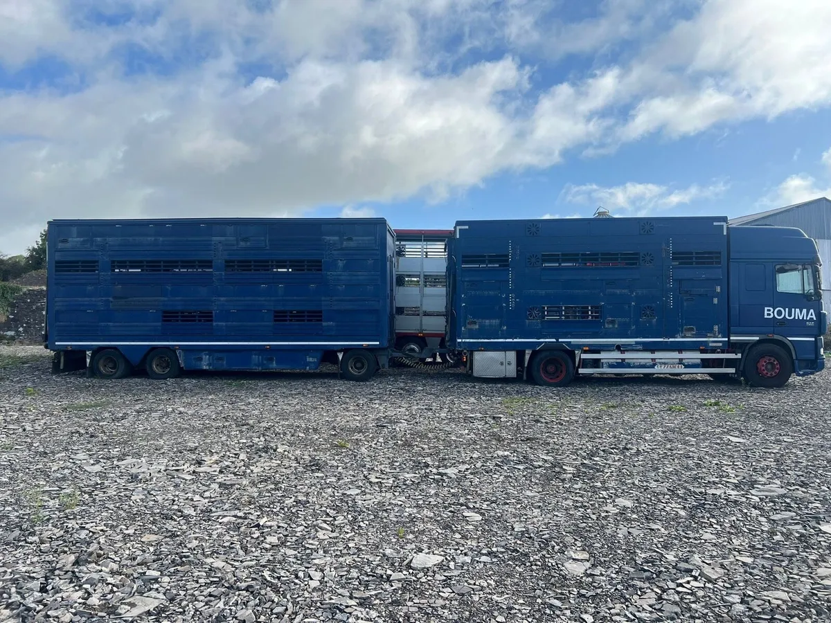 Livestock truck - Image 3