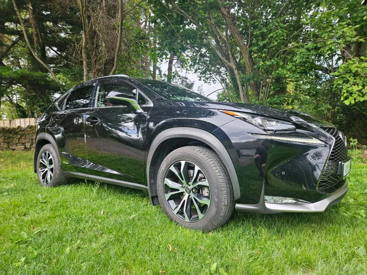 Lexus NX300 F Sport - Image 2