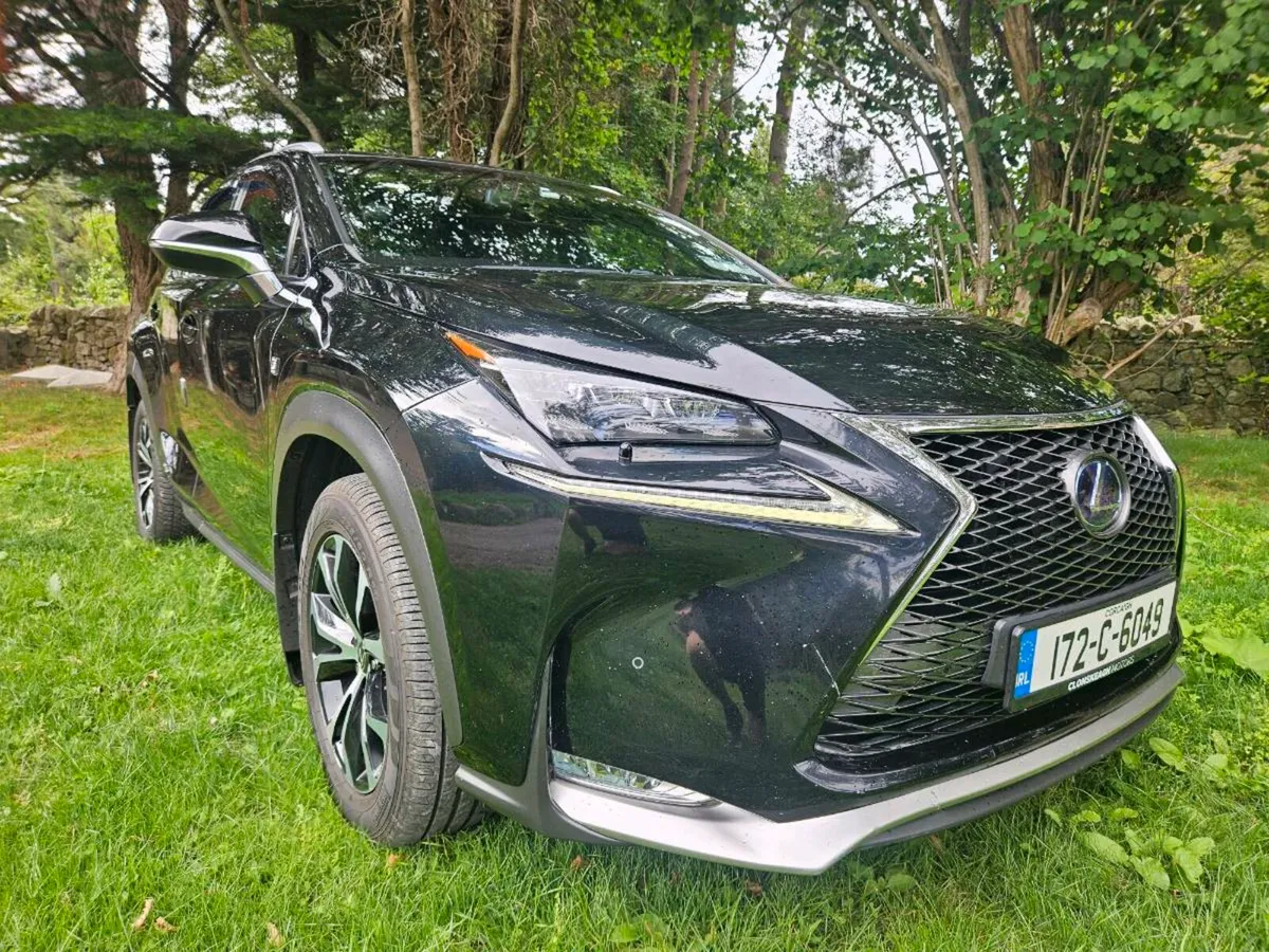 Lexus NX300 F Sport - Image 3
