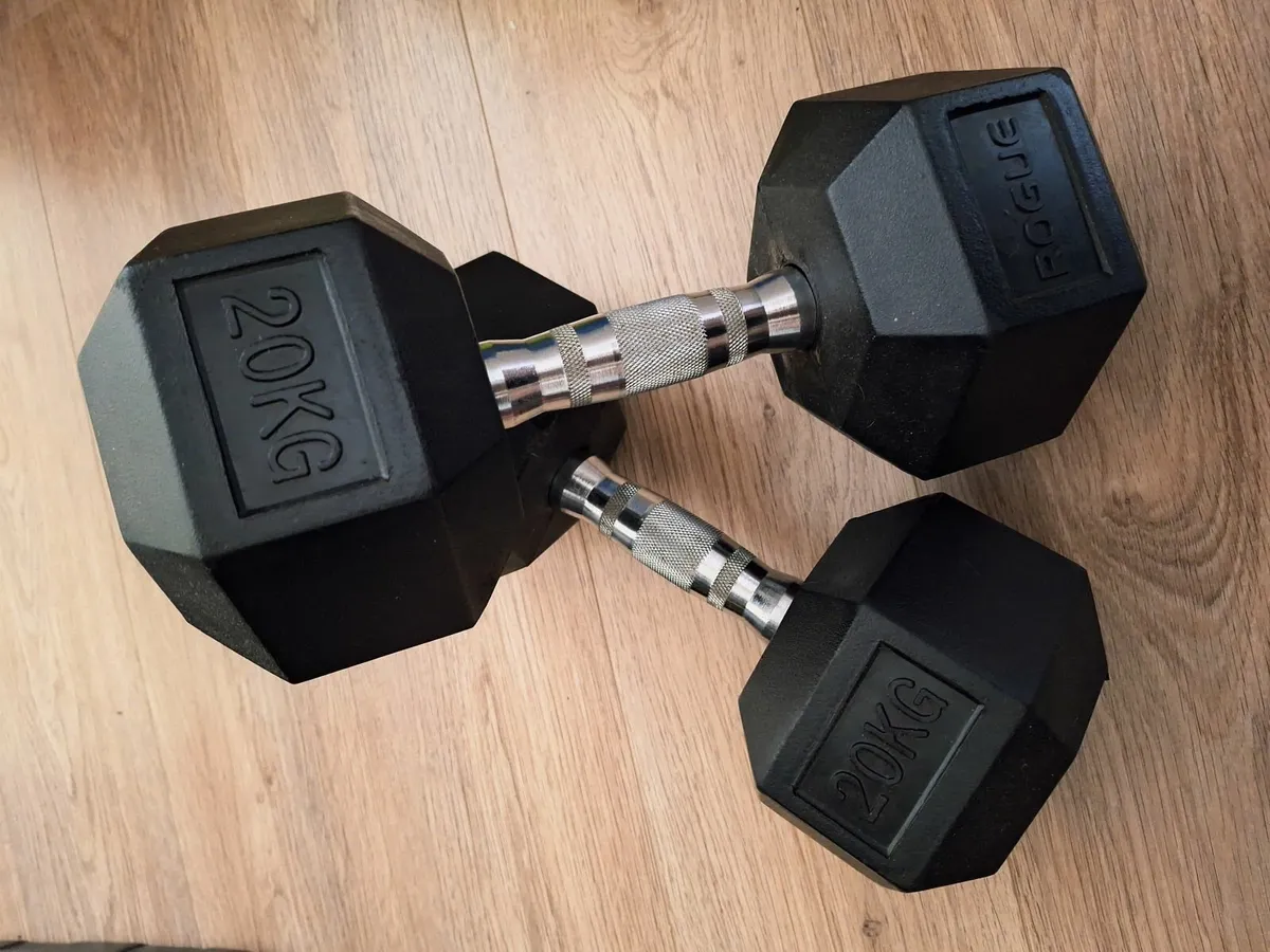 Rogue's KG Rubber Hex Dumbbell Set (2 x 20Kg) - Image 1