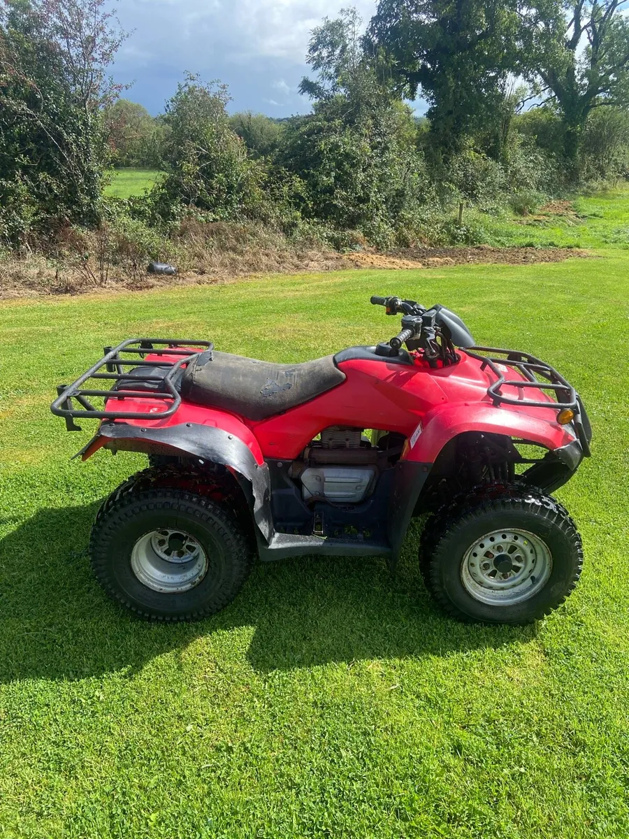 Honda Trx 250 - Image 4