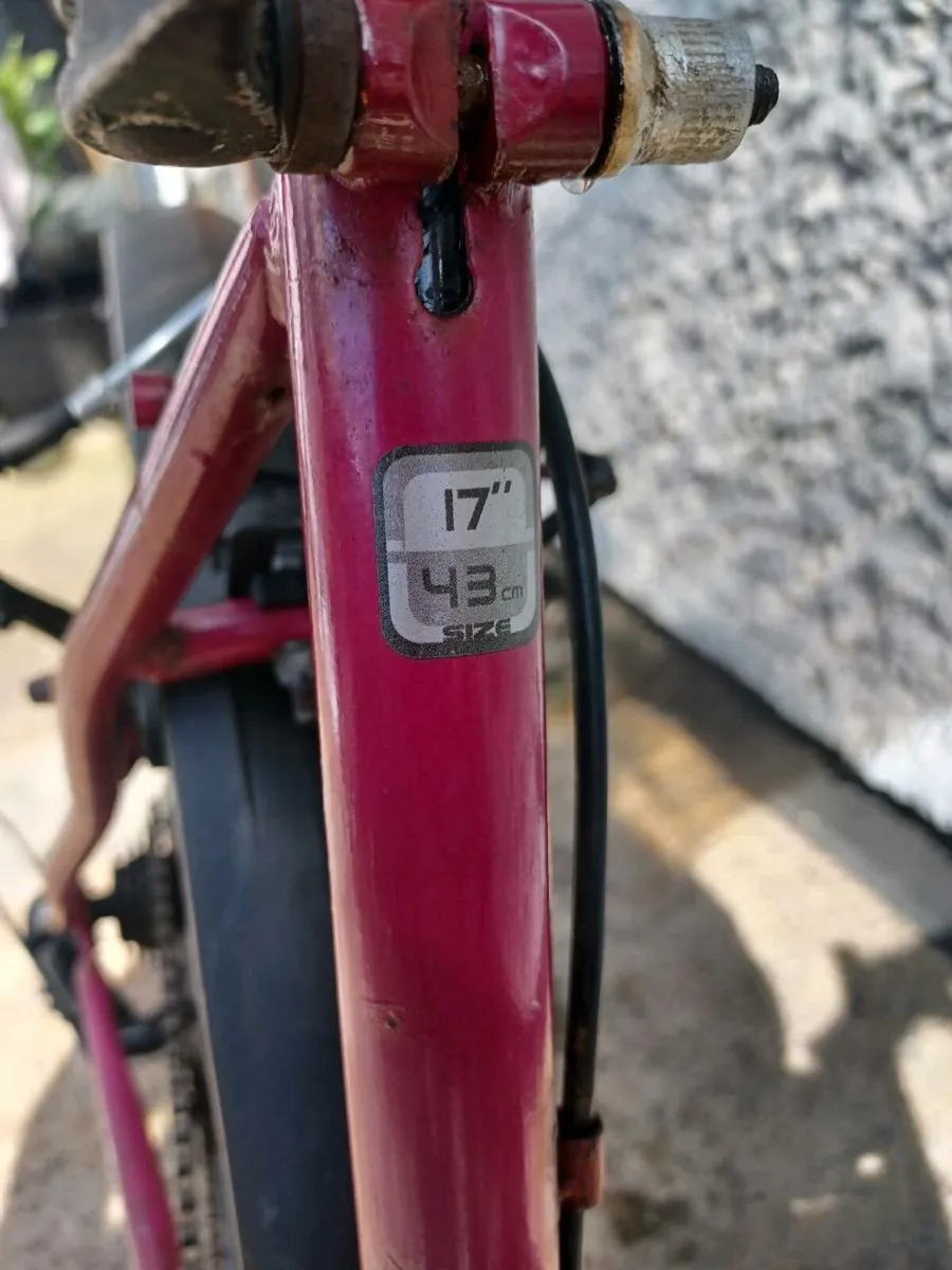 Woman's mountain bike - Image 2