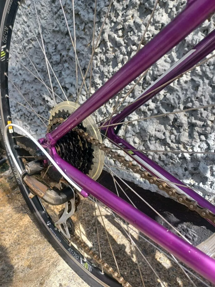 Trek Woman's Hybrid bike - Image 3