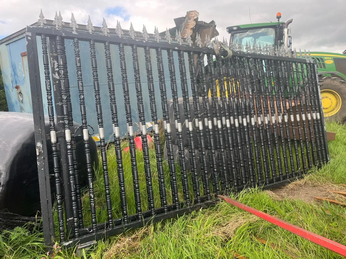 Driveway/Garden Gates - Image 1