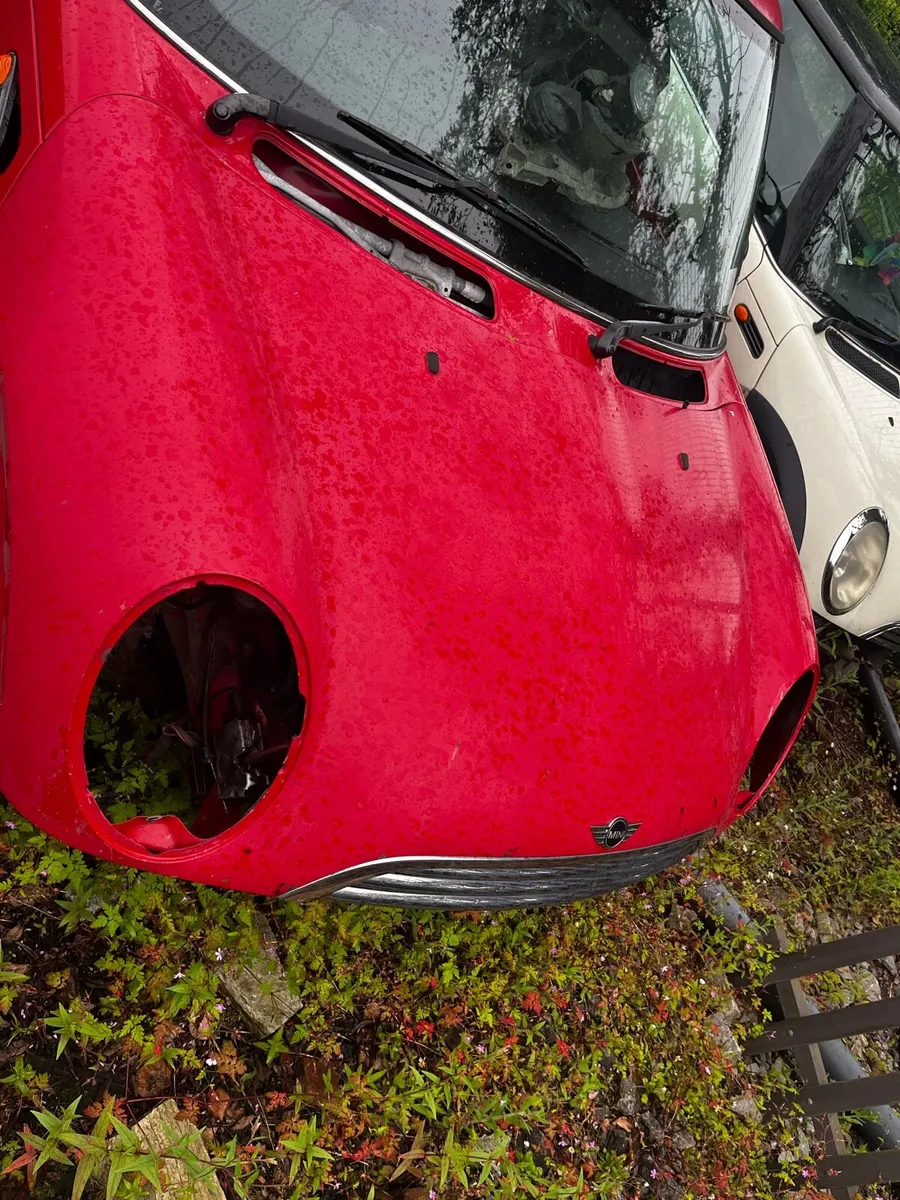 Mini Cooper and mini one for breaking - Image 1