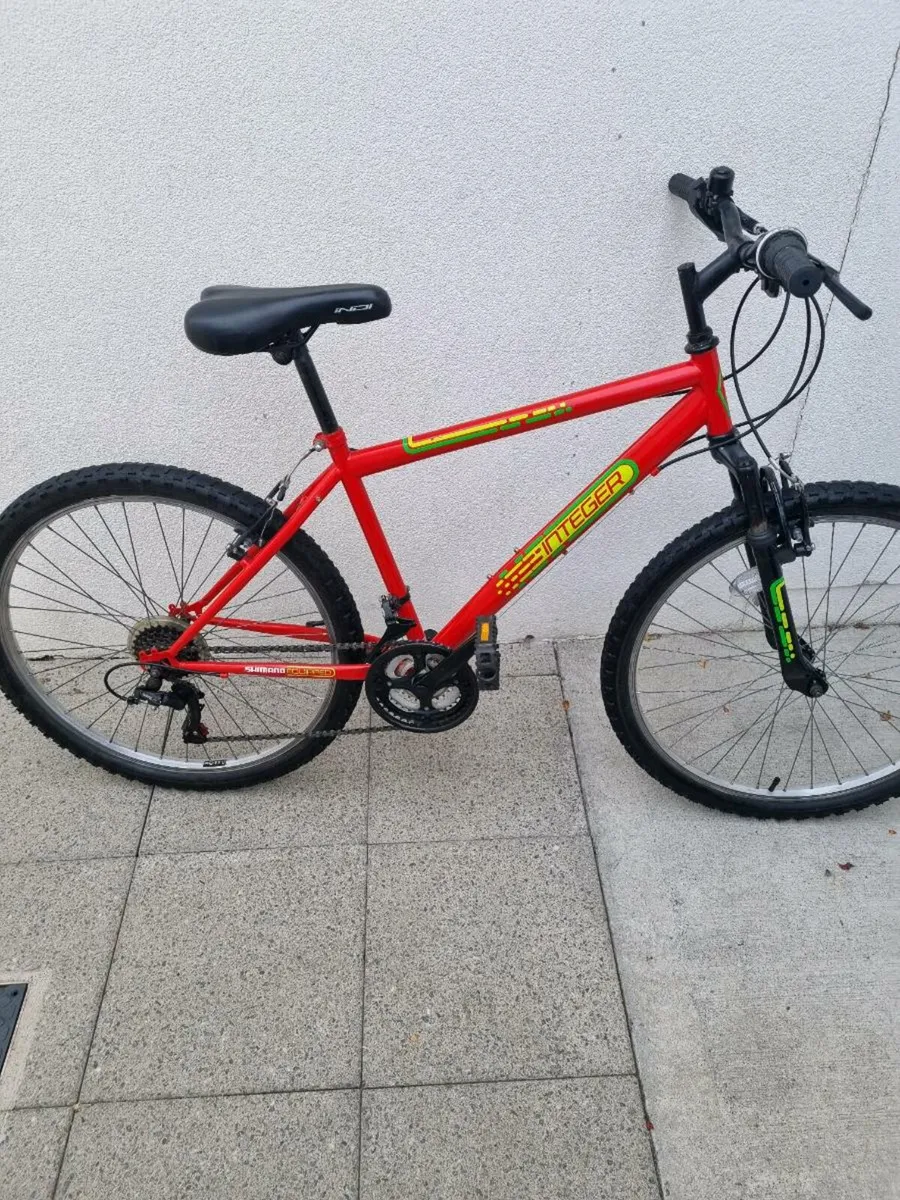 Bicycle INTEGER - Image 1