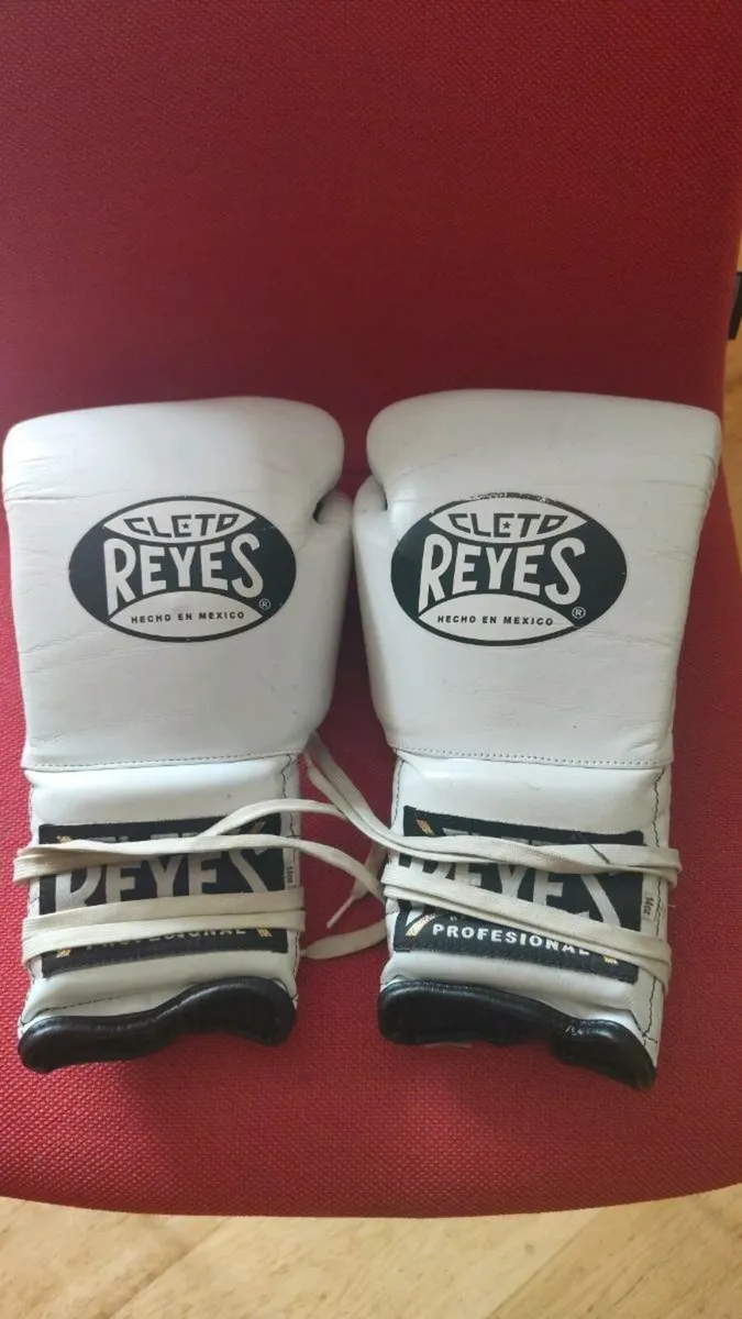 Boxing gloves