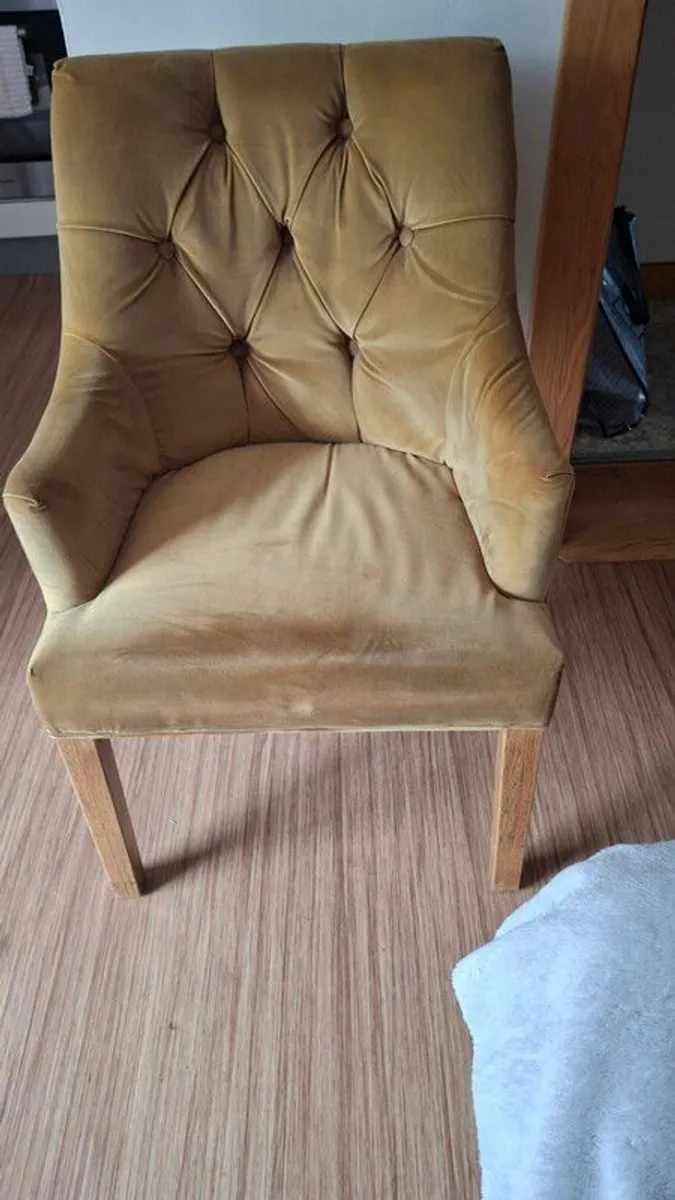 dining chairs - Image 1
