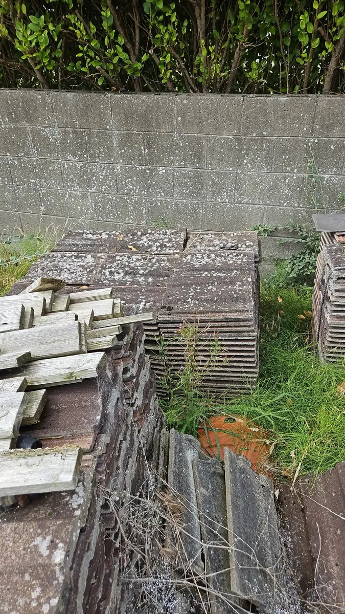 Roof Tiles - Image 1