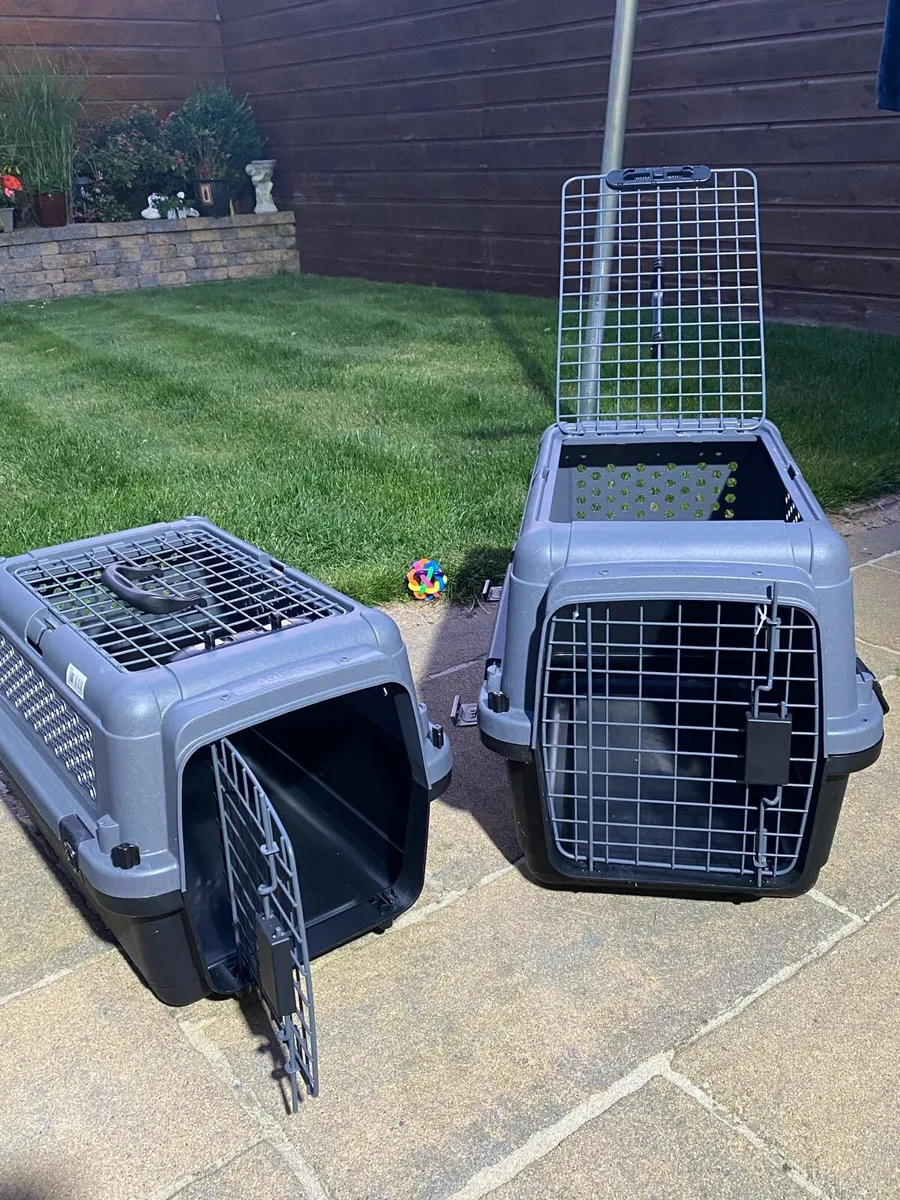 Dog/cat transport crate