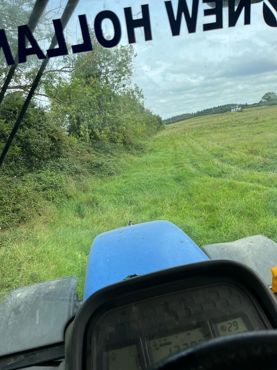 Hedgecutting - Image 2