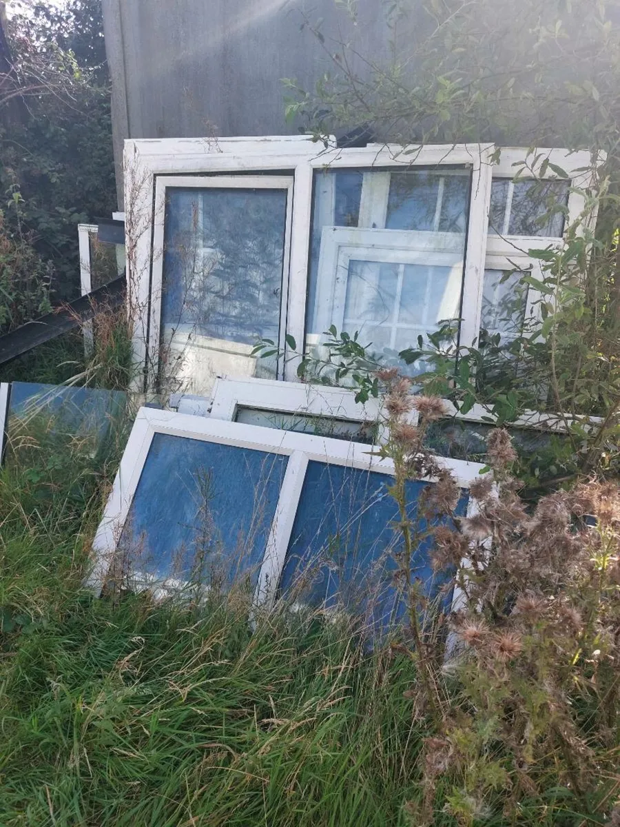 Windows and doors - Image 1