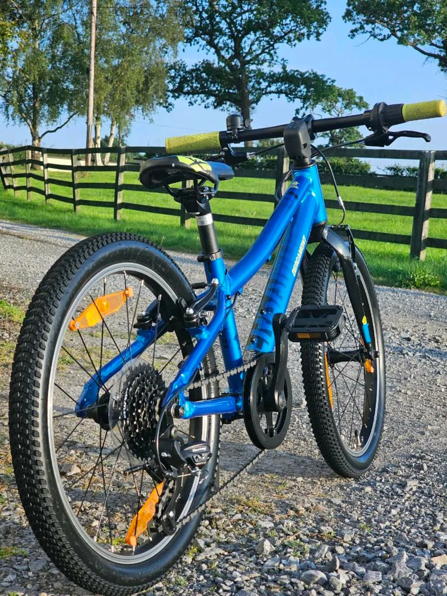 Bergamont Bergamonster 20. Kids bike. Child cycle. - Image 2