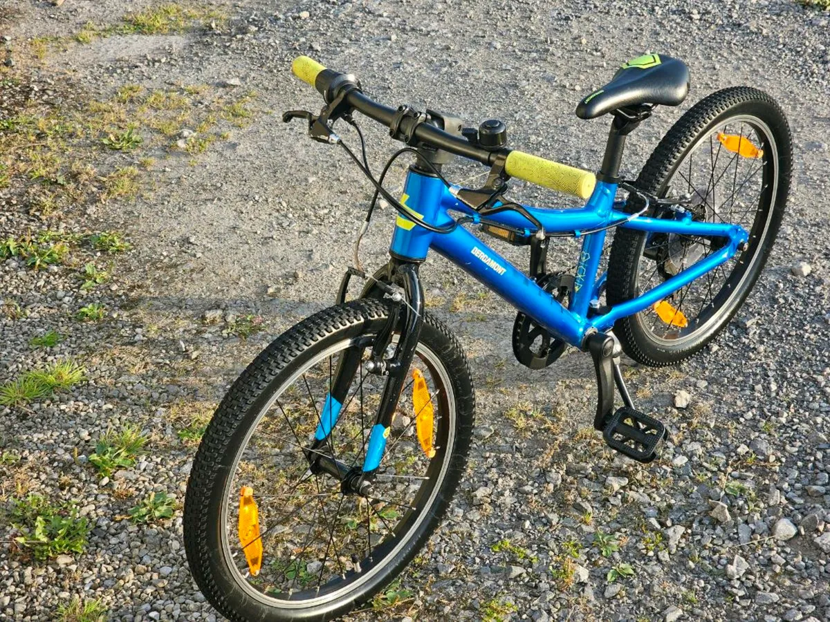 Bergamont Bergamonster 20. Kids bike. Child cycle. - Image 3