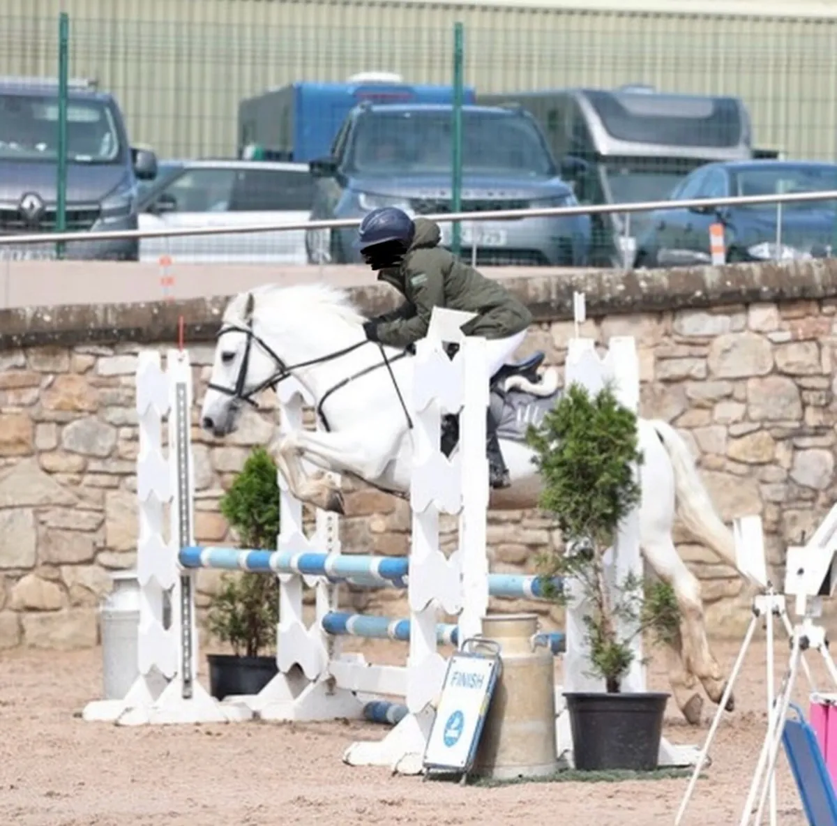 Perfect Pony club/ all rounder/ SJI pony - Image 4