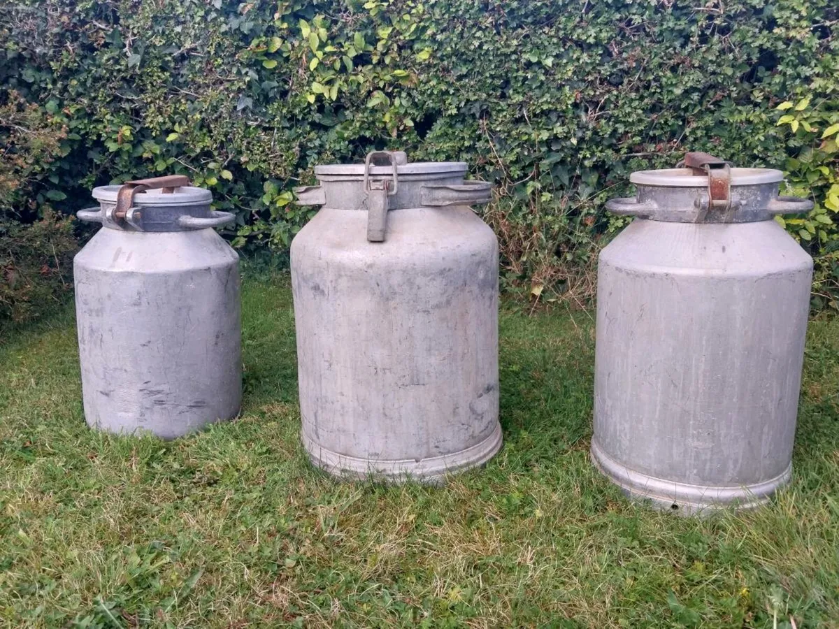 Milk churns x 3 - Image 1