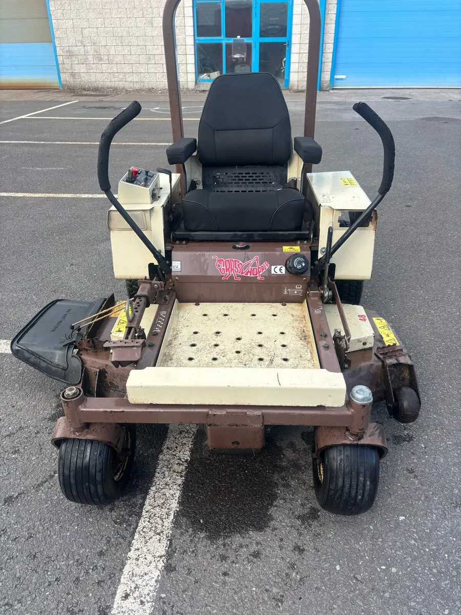 Grasshopper 124 - Image 1