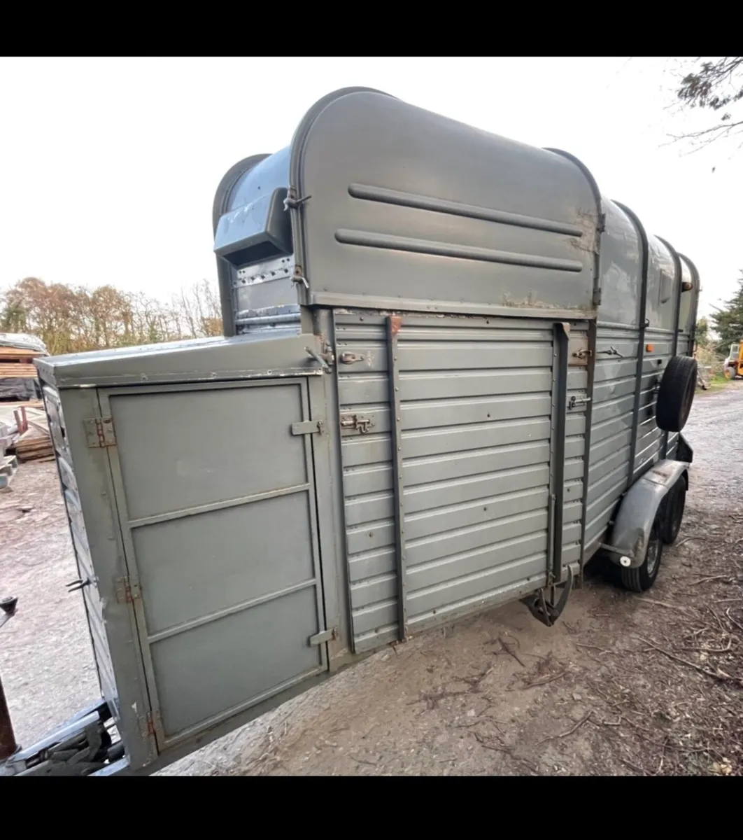 Rice horse box’s - Image 2