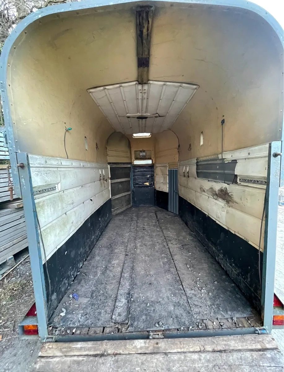 Rice horse box’s - Image 3