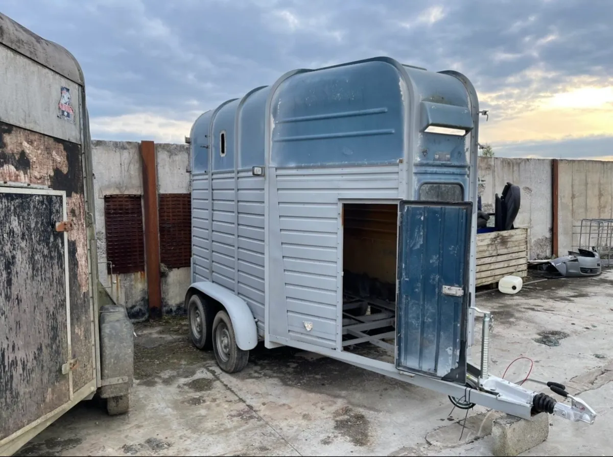 Rice horse box’s - Image 4