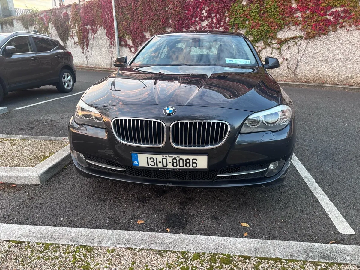 2013 520d se - Image 4