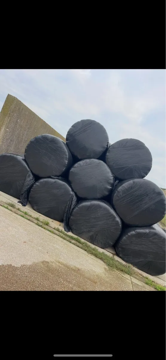 Silage bales - Image 1