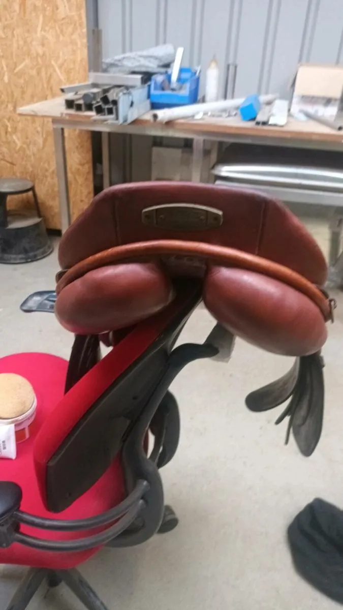 Saddles stubben - Image 2
