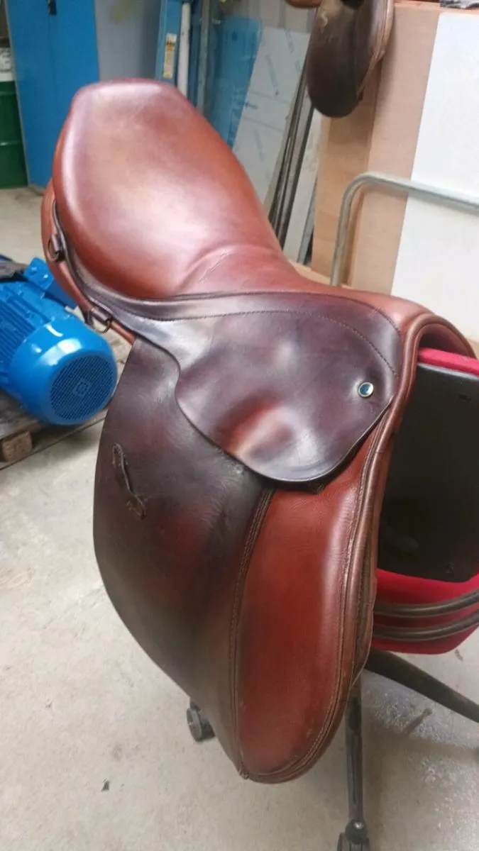 Saddles stubben - Image 3