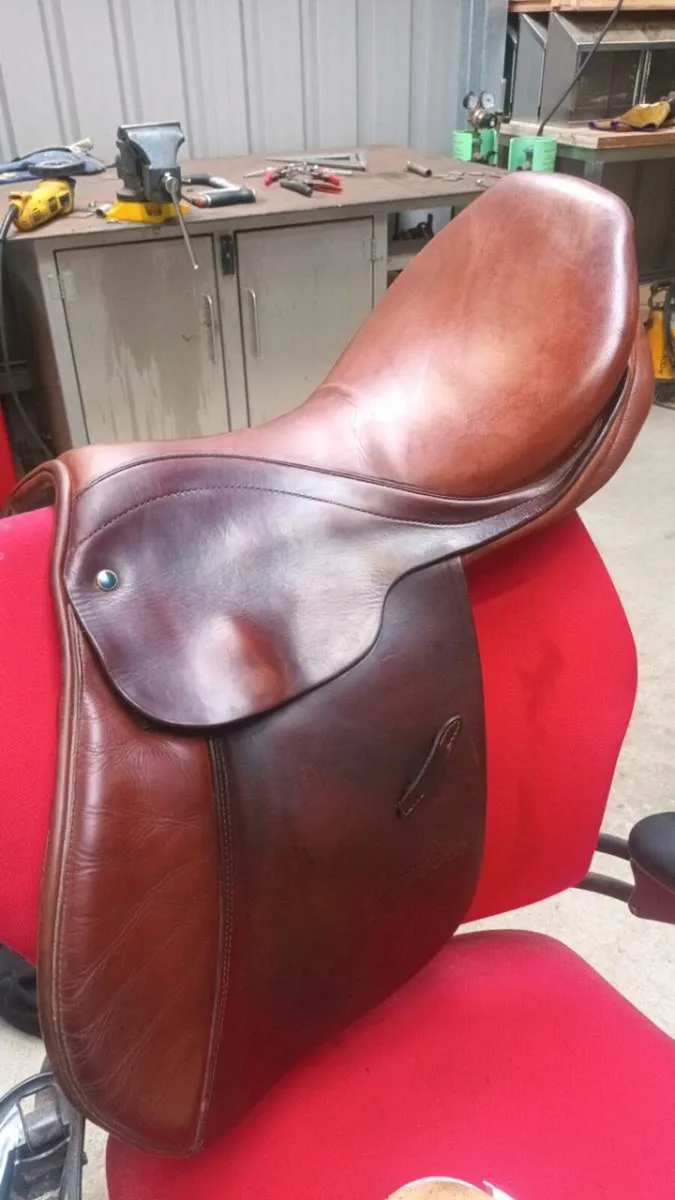 Saddles stubben - Image 1