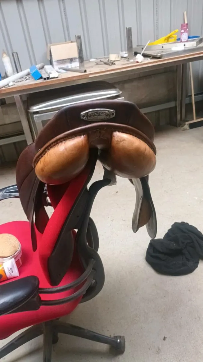 Saddles stubben - Image 4