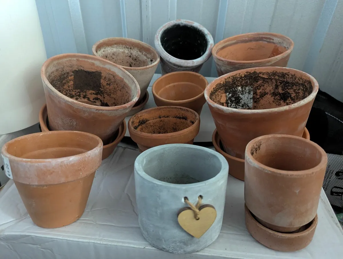 Flower pots - multiple - Image 1