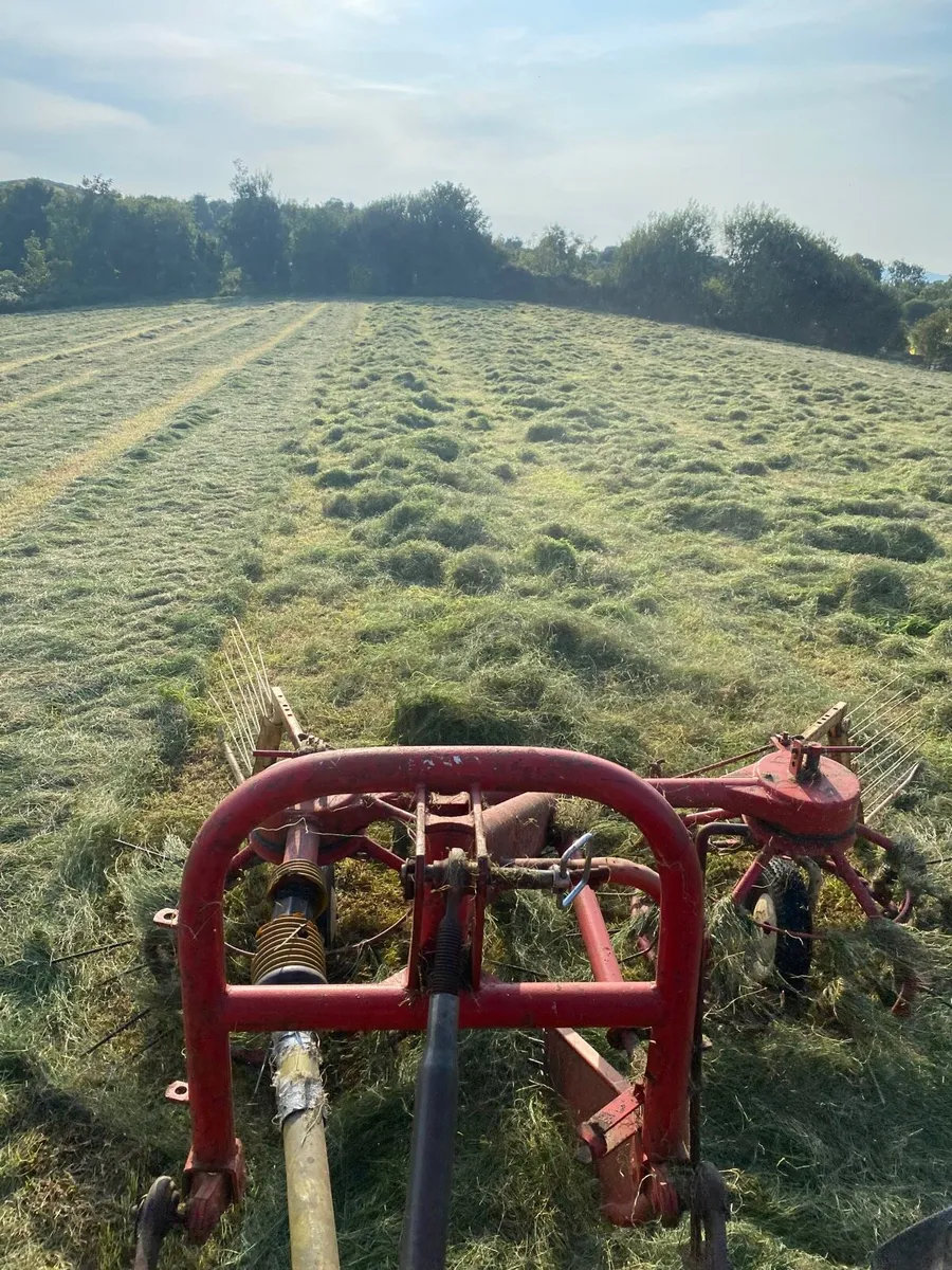 Square bales of Haylage, Excellent Quality - Image 4