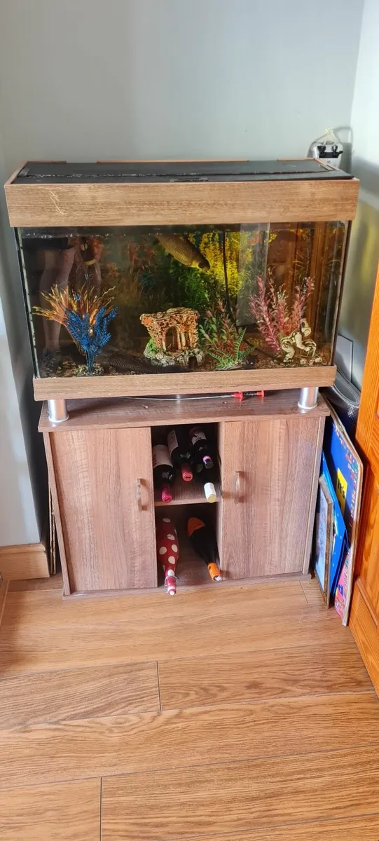 Free aquarium, cabinet and fish