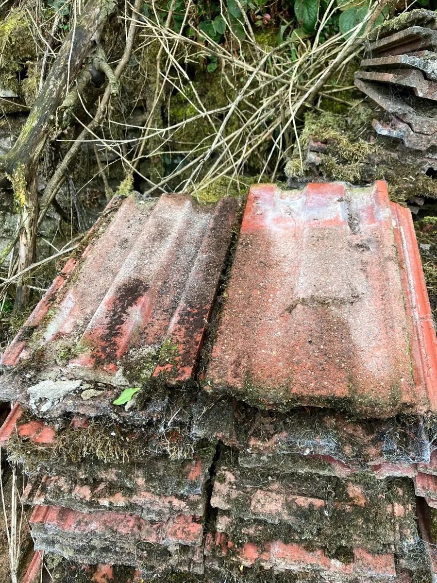 Roof tiles