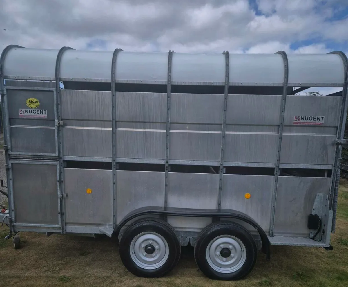 Nugent 12 x6,7 horse/cattle trailer 2019 highroof - Image 4