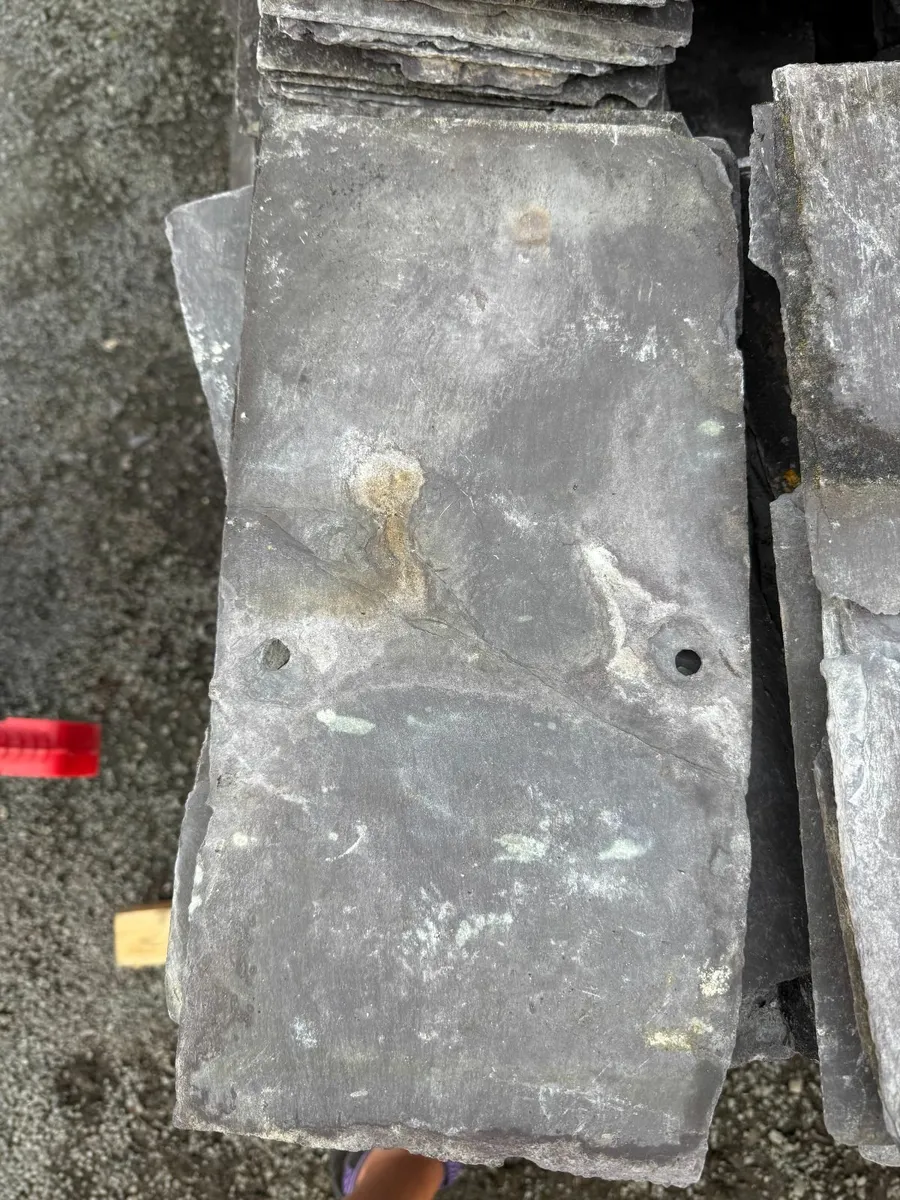 Reclaimed Bangor Blue slates - Image 2
