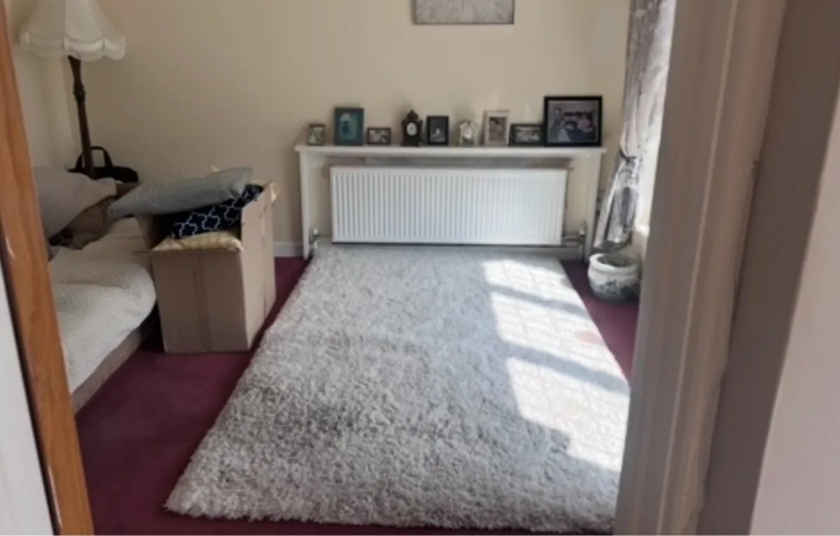 Couch and rug - Image 1