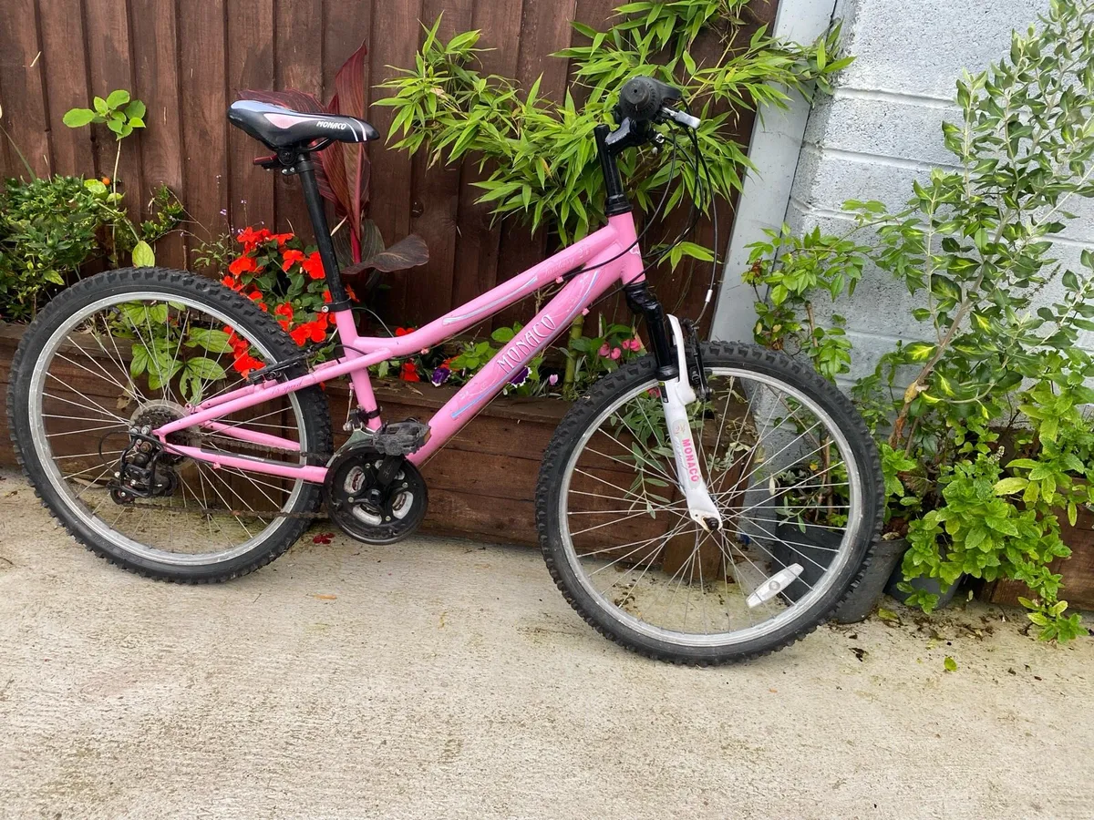 Child’s Monaco fantasy 24 inch wheels 18 - Image 1