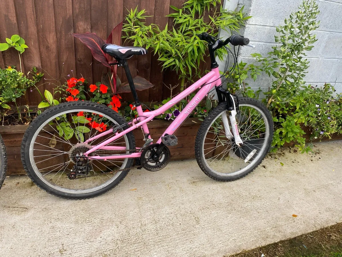 Child’s Monaco fantasy 24 inch wheels 18 - Image 2