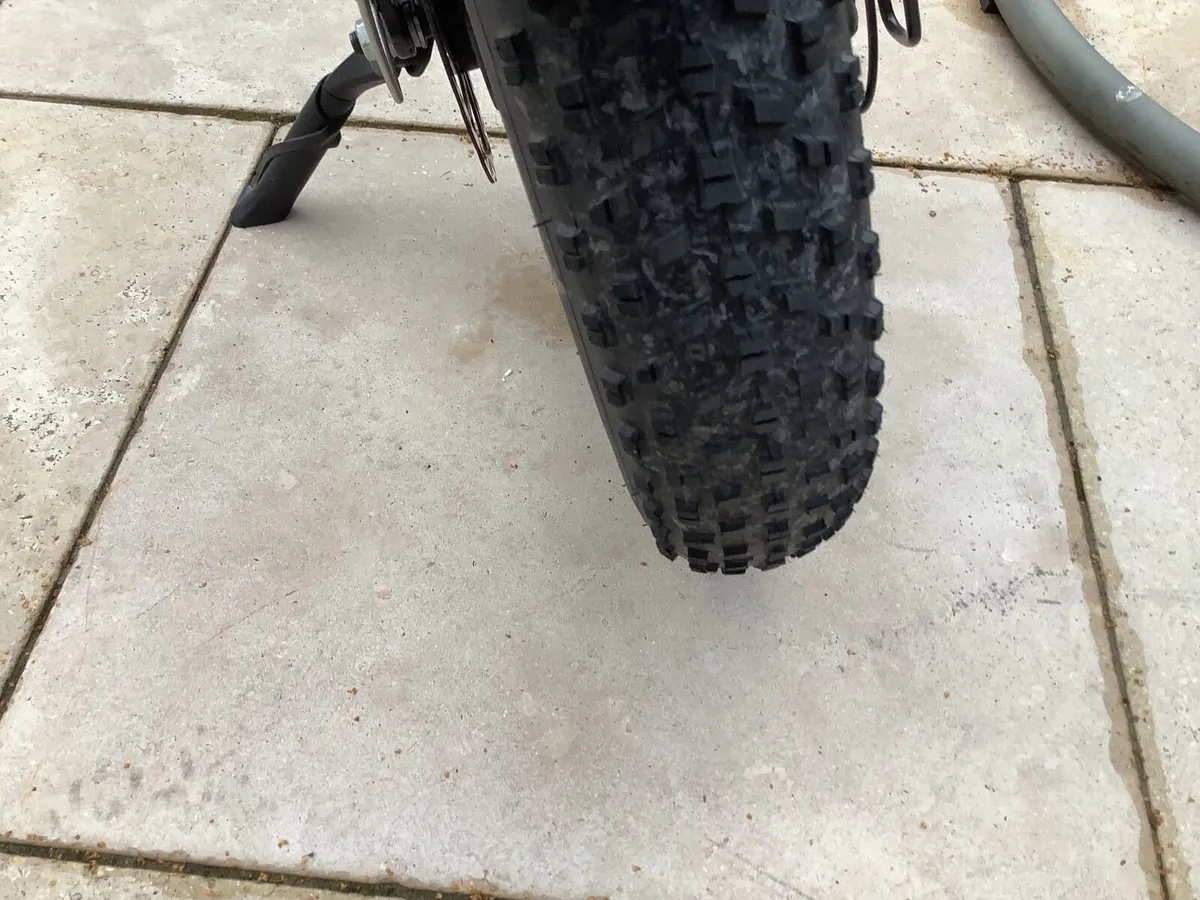 Electric Bike - Image 3