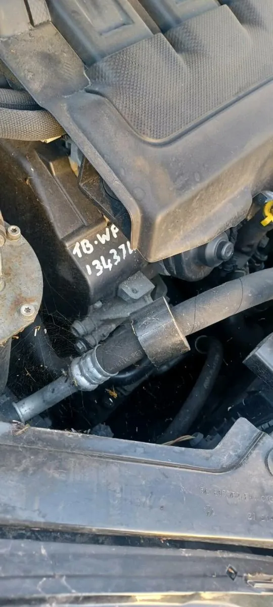 Volkswagen Golf - Image 4