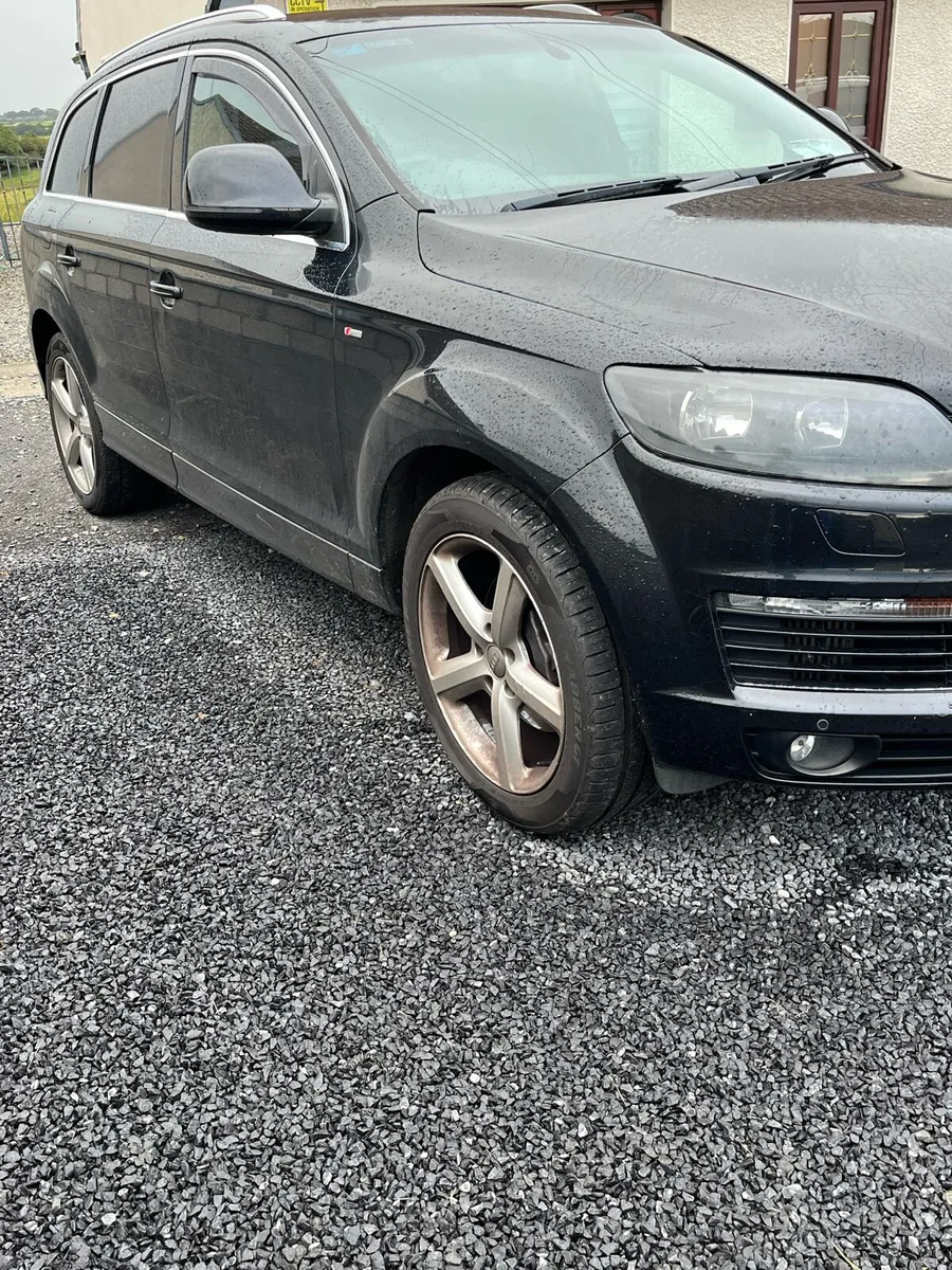 2009 Q7 - Image 2