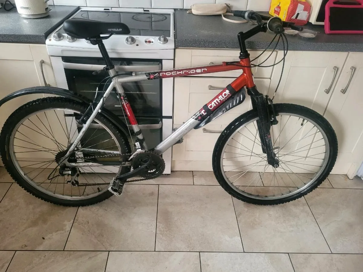 Bike - Image 1
