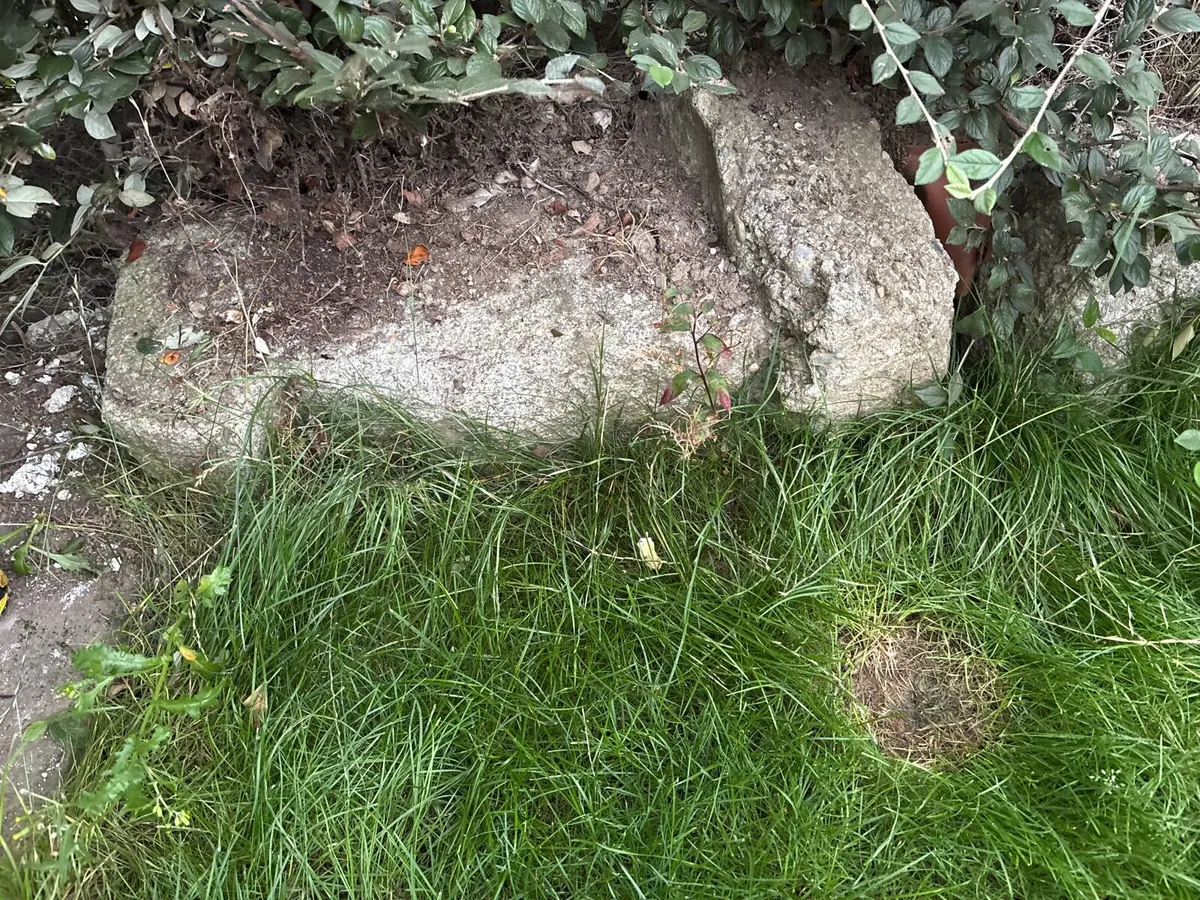Granite type stone - Image 2