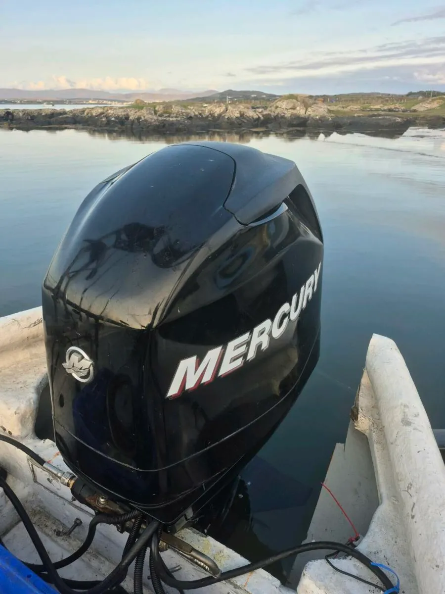 Mercury 4 strk EFI 2007 - Image 2