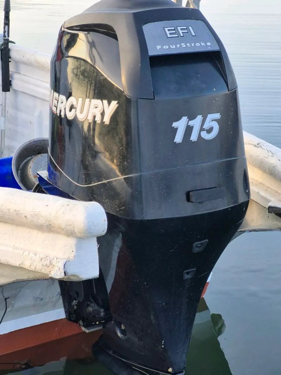 Mercury 4 strk EFI 2007 - Image 3
