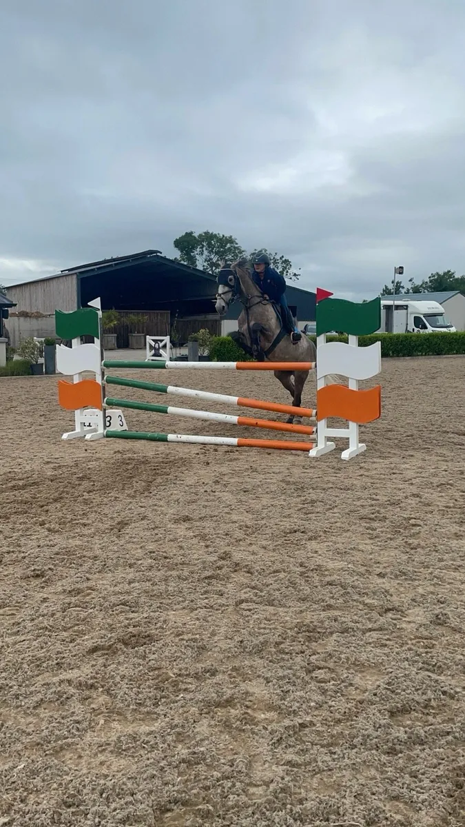 8 year old 148 pony. - Image 4